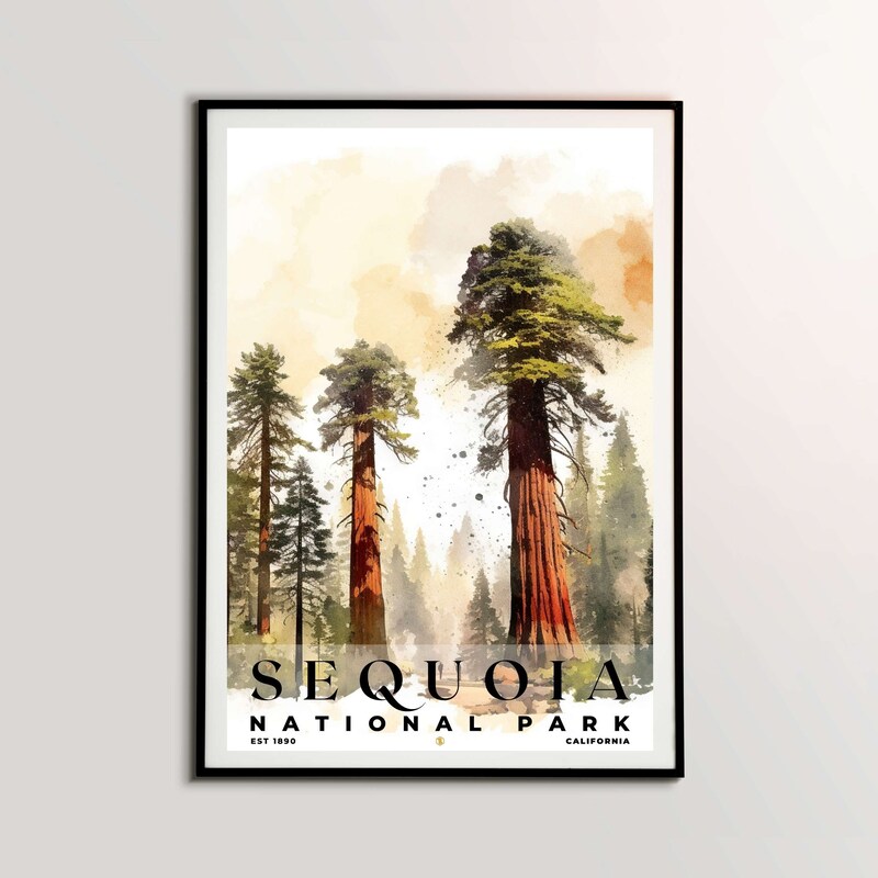 Sequoia National Park Poster, Travel Art, Office Poster, Home Decor | S4